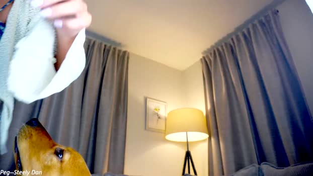 x_lily_x Chaturbate 26-04-2024 Females