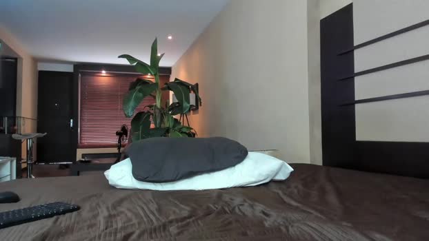 the_fun_kooples Chaturbate 06-06-2024 Couples