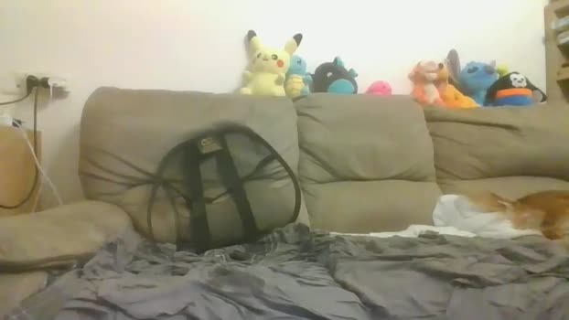 nikeair305 Chaturbate 10-06-2024 Couples