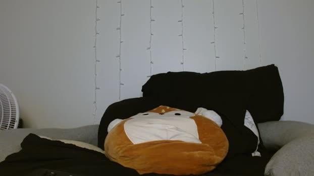 urlittlepumpkin Chaturbate 25-07-2024 Females
