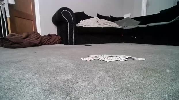misterycouple12 Chaturbate 02-08-2024 Couples