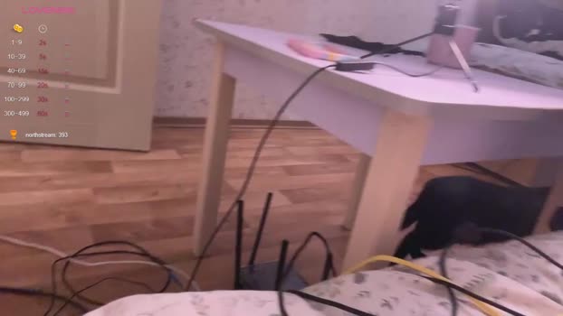 sexdrugg666 Chaturbate 07-08-2024 Couples
