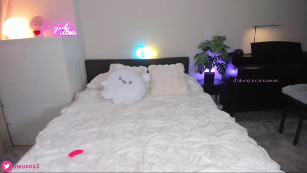 uwuxo Chaturbate 09-08-2024 Females