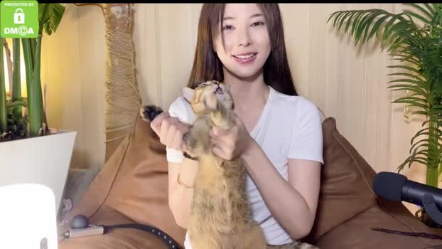 galantini Chaturbate 27-08-2024 Females