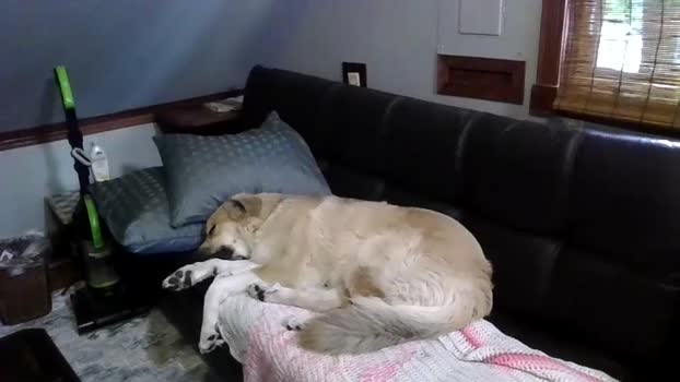 phatassblond Chaturbate 20-09-2024 Couples