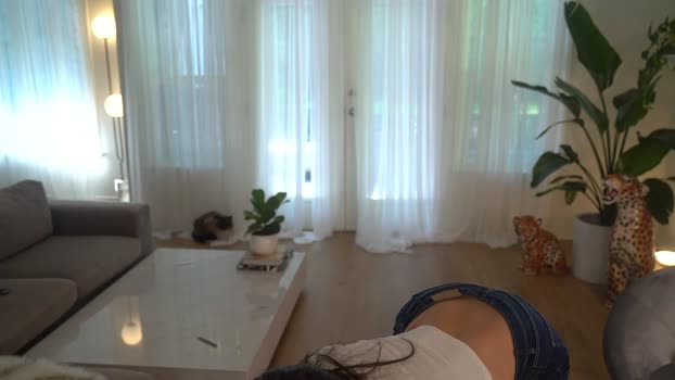 lace___ Chaturbate 21-09-2024 Females
