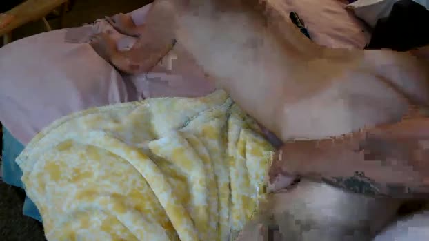 udesire25 big Webcam SHOW @ Chaturbate 03-10-2024