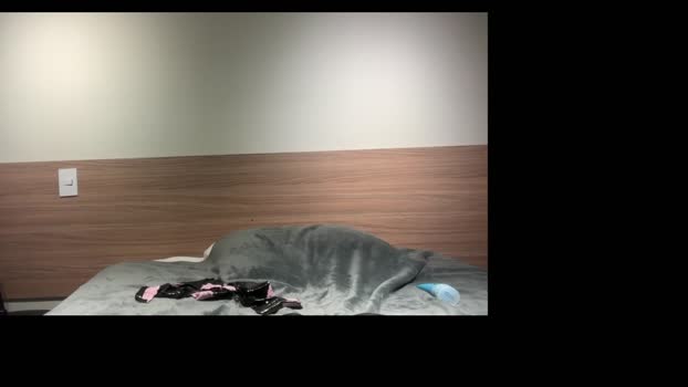 flirtyndirtycom sexykitty Webcam SHOW @ Chaturbate 08-10-2024