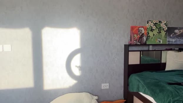 diora_vibe playtime Webcam SHOW @ Chaturbate 13-10-2024