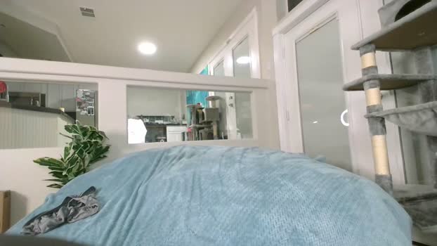 alexxxcoal bigboobs Webcam SHOW @ Chaturbate 01-11-2024