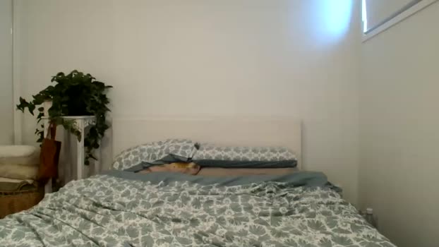 teleaevansss big Webcam SHOW @ Chaturbate 08-11-2024