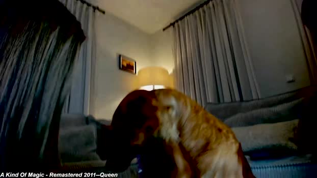 x_lily_x beauty Webcam SHOW @ Chaturbate 17-11-2024