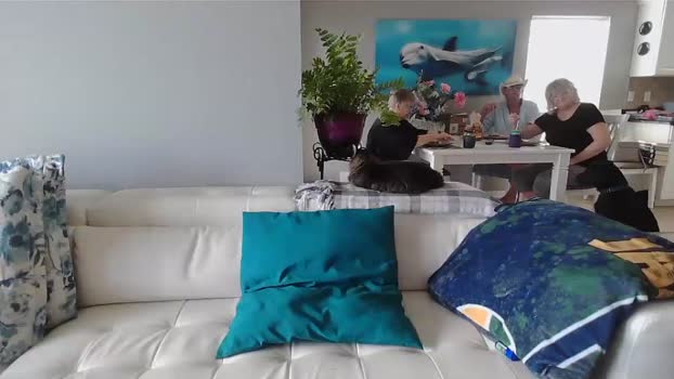 smallpenisbigtongue wank Webcam SHOW @ Chaturbate 19-11-2024