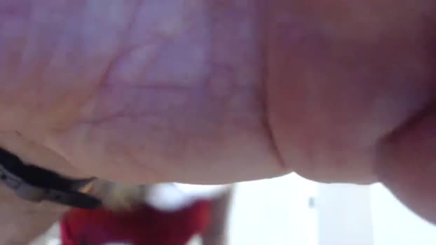 buddiup2 ass Webcam SHOW @ Chaturbate 08-12-2024