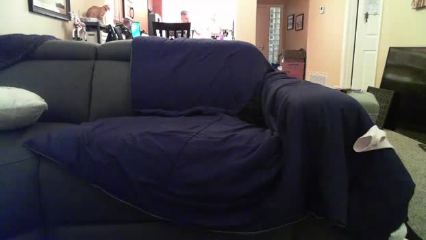 dollfaceklla boobs Webcam SHOW @ Chaturbate 08-12-2024