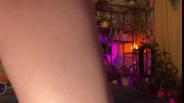 sunniedayz fingering Webcam SHOW @ Chaturbate 08-12-2024