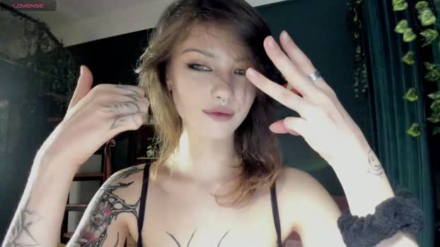 bmwm5f90 Cam Webcam SHOW @ Chaturbate 12-12-2024