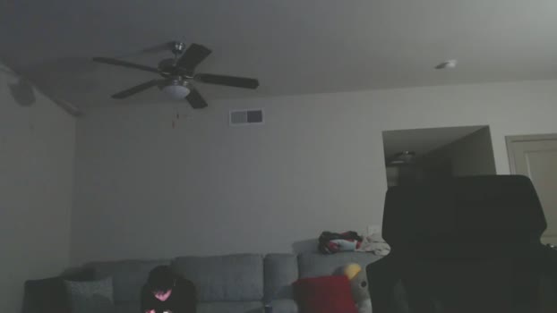 lustfullives bigcock Webcam SHOW @ Chaturbate 13-12-2024