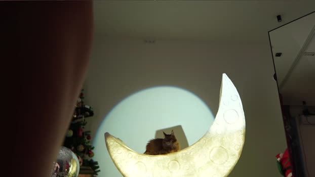 _meganmeow_ naughty Webcam SHOW @ Chaturbate 13-12-2024