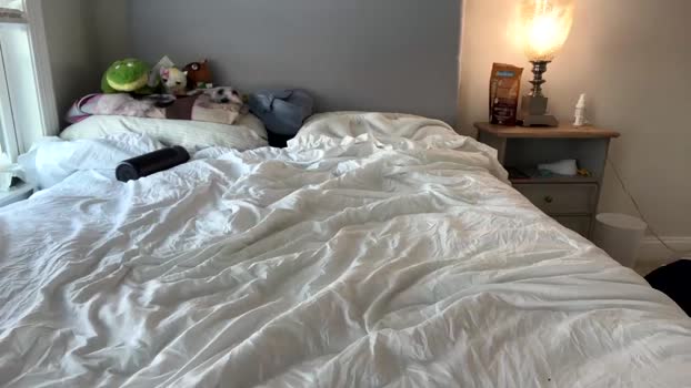 susannahxx lush Webcam SHOW @ Chaturbate 28-12-2024