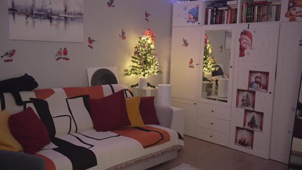 _blackbee_ Cam Webcam SHOW @ Chaturbate 29-12-2024
