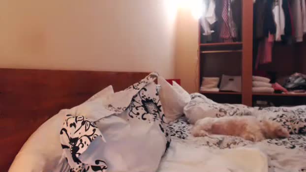 andrasweetie lick Webcam SHOW @ Chaturbate 01-01-2025