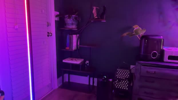 oliviahansleyy skinny Webcam SHOW @ Chaturbate 05-01-2025