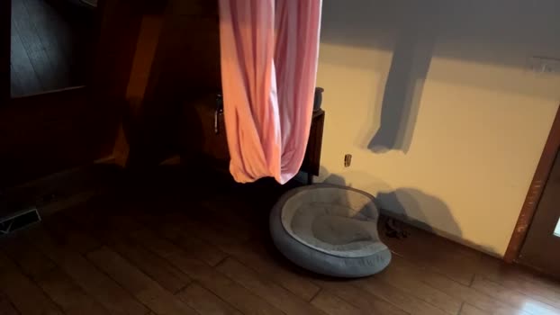 emersoncane analsex Webcam SHOW @ Chaturbate 06-01-2025