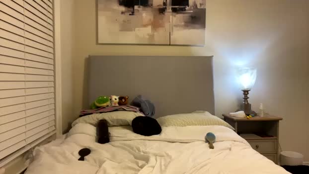 susannahxx wank Webcam SHOW @ Chaturbate 12-01-2025