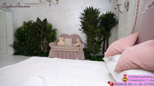 caylin toy Webcam SHOW @ Chaturbate 14-01-2025