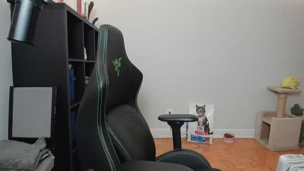 alexa_dream fuckface Webcam SHOW @ Chaturbate 20-01-2025