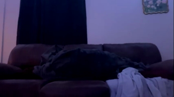 dalton8373 fuck Webcam SHOW @ Chaturbate 23-01-2025