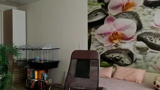 jennycutey Topless Webcam SHOW @ Chaturbate 25-01-2025