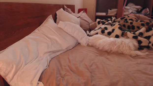 andrasweetie natural Webcam SHOW @ Chaturbate 29-01-2025