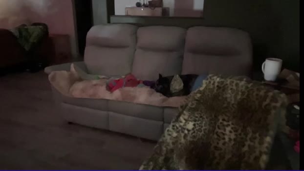 kaileeshy wank Webcam SHOW @ Chaturbate 31-01-2025