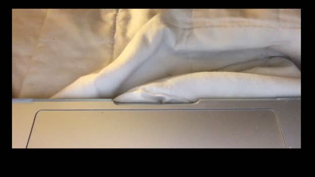karate_party Ass Webcam SHOW @ Chaturbate 13-02-2025