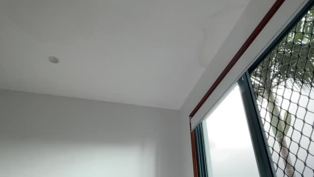 yourgeorgiakingg hardcore Webcam SHOW @ Chaturbate 18-02-2025