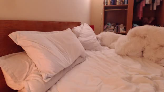 andrasweetie naked Webcam SHOW @ Chaturbate 01-03-2025