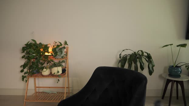 doubedeesarai kiss Webcam SHOW @ Chaturbate 04-03-2025