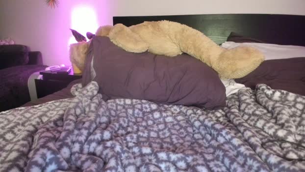 badgrljade hardcore Webcam SHOW @ Chaturbate 06-03-2025