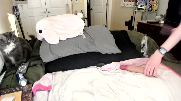 eve003300 suck Webcam SHOW @ Chaturbate 17-03-2025
