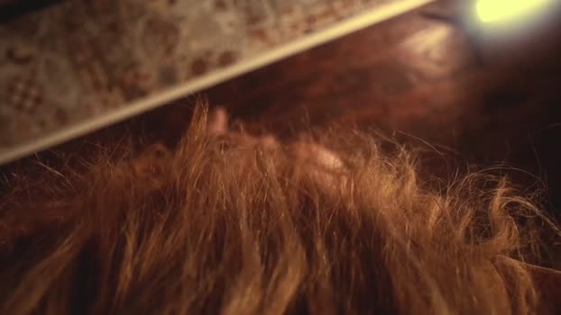 heybanan gag Webcam SHOW @ Chaturbate 20-03-2025