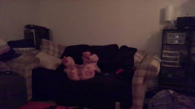 hornydiscovery sucktits Webcam SHOW @ Chaturbate 30-03-2025