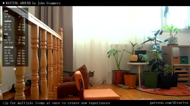 ms_dira wet Webcam SHOW @ Chaturbate 01-04-2025