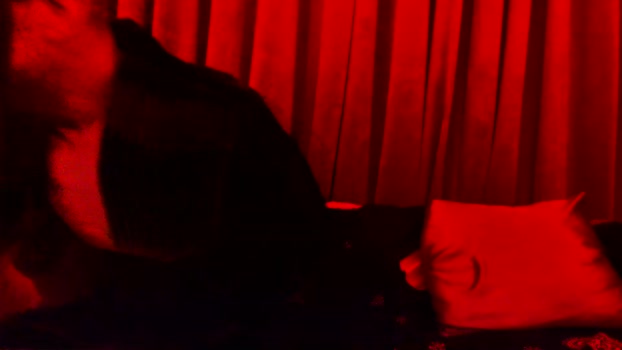 pussyraider911 bj-dildo Webcam SHOW @ Chaturbate 10-04-2025