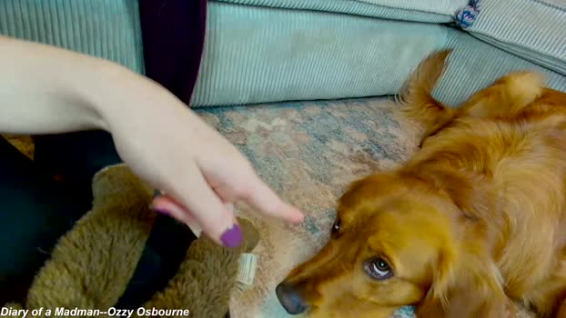 x_lily_x deep Webcam SHOW @ Chaturbate 01-05-2025