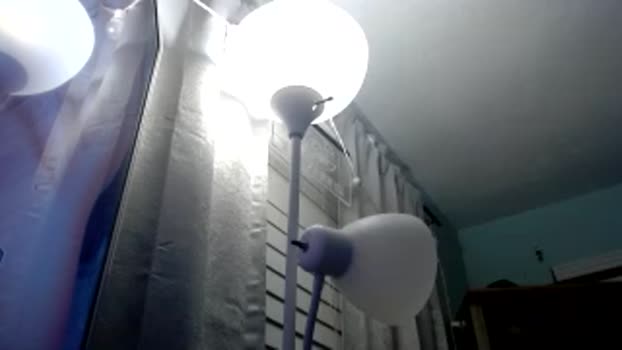lolaisfamous natural Webcam SHOW @ Chaturbate 05-05-2025