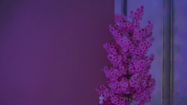 new_purple lick Webcam SHOW @ Chaturbate 08-05-2025