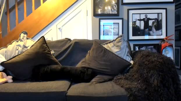 englishcouple81 Nude Webcam SHOW @ Chaturbate 25-05-2025