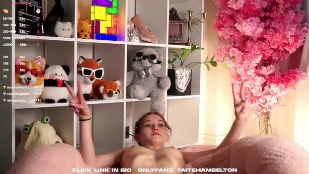 taitehambelton blowjob Webcam SHOW @ Chaturbate 10-06-2025